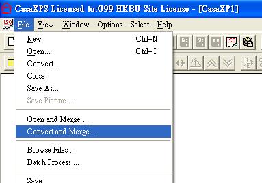 Convert and Merge Option